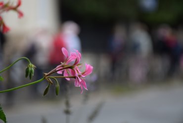 neuilly-plaisance-marche-rose-octobre-2021 12